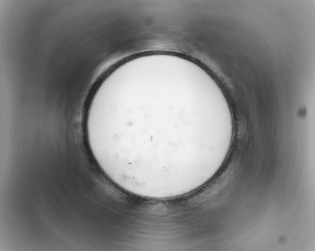 X0000103171222200809192109