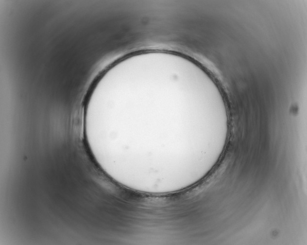 X0000103171223200809192109