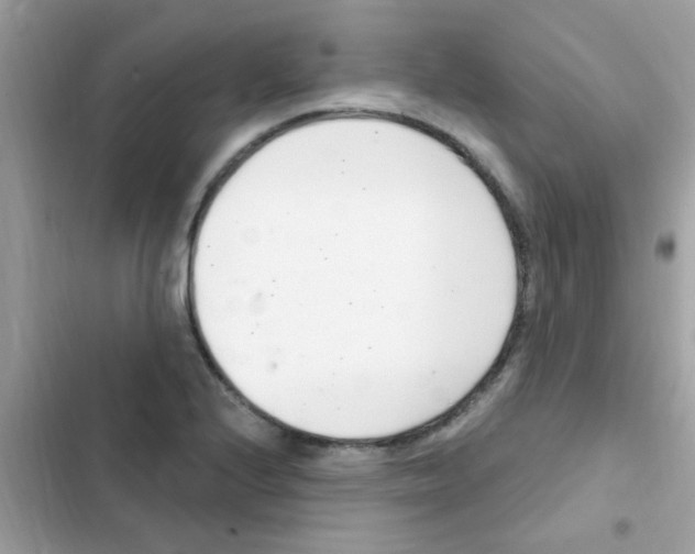 X0000103171224200809192109