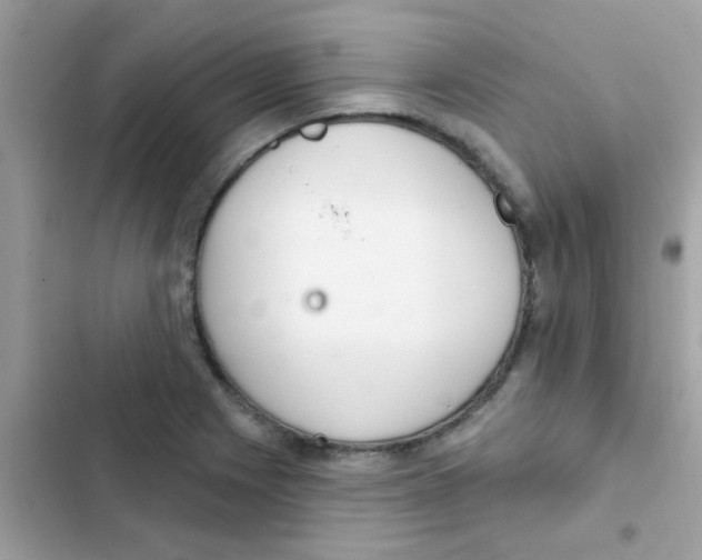 X0000103171225200809192109