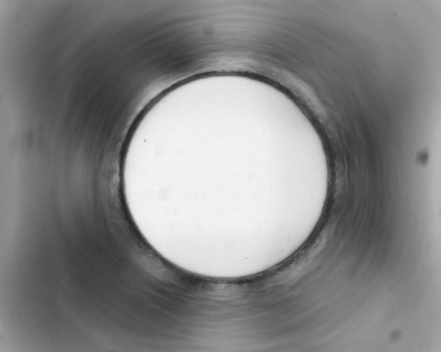 X0000103171226200809192109