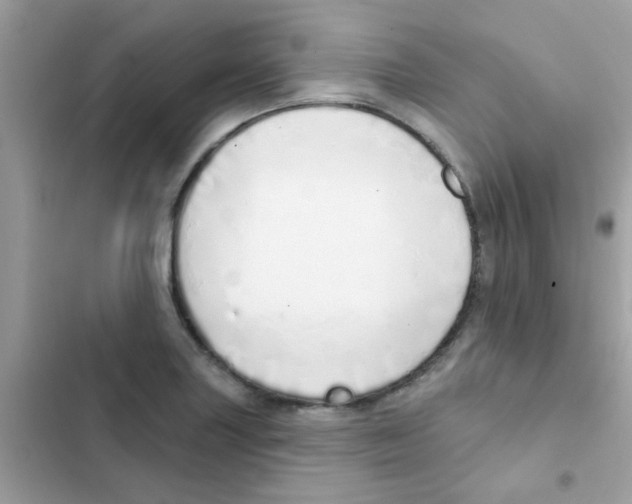 X0000103171227200809192109