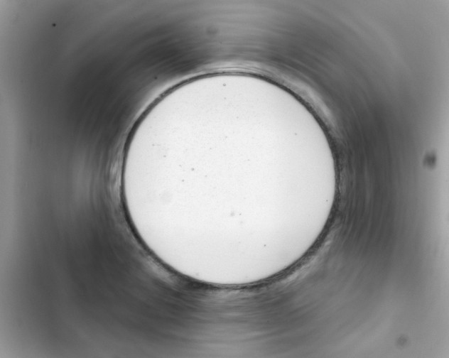 X0000103171228200809192109