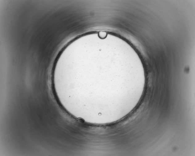 X0000103171229200809192109