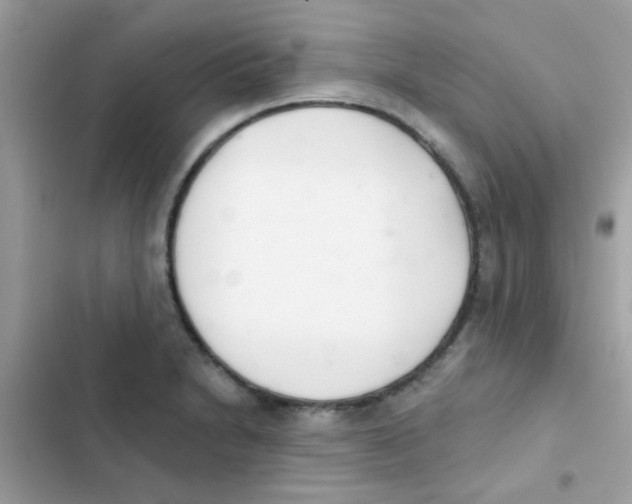 X0000103171230200809192109