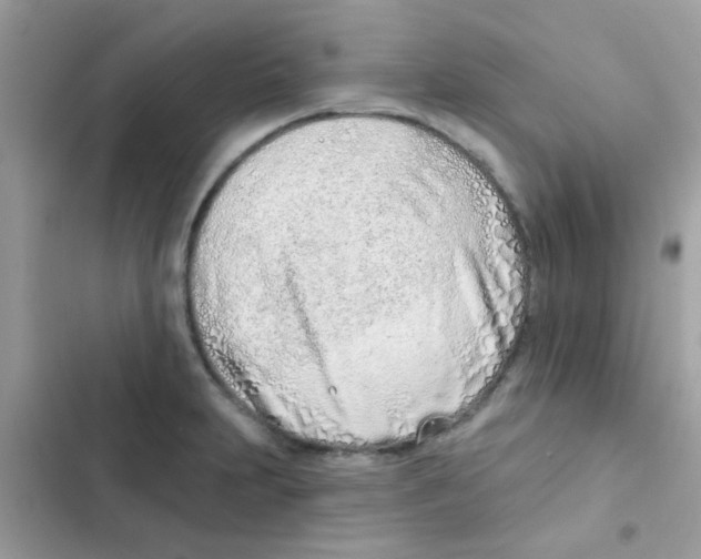 X0000103171231200809192109