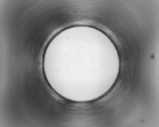 X0000103171232200809192109