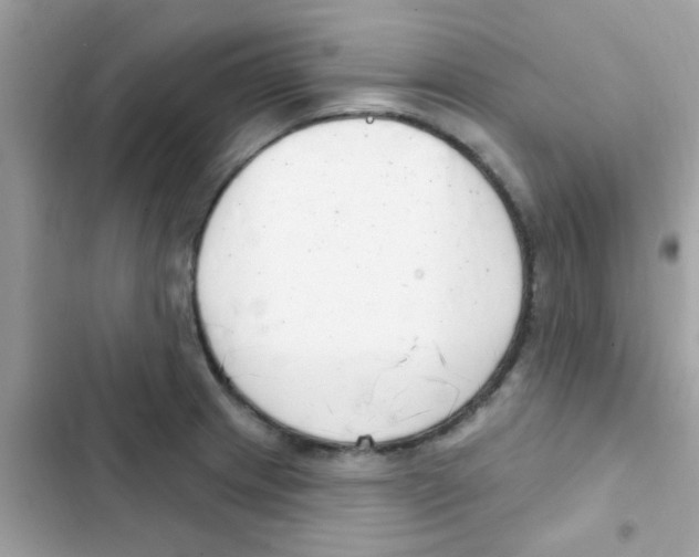 X0000103171233200809192109