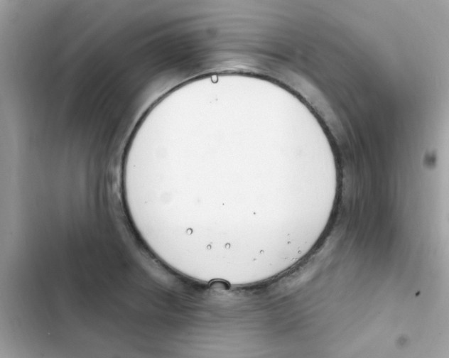 X0000103171234200809192109