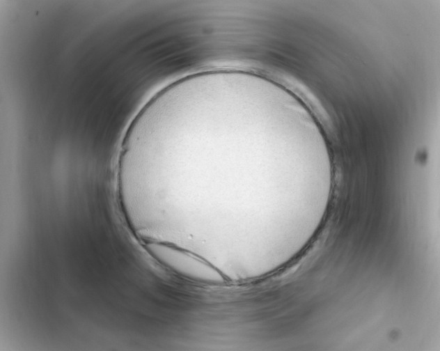 X0000103171236200809192109