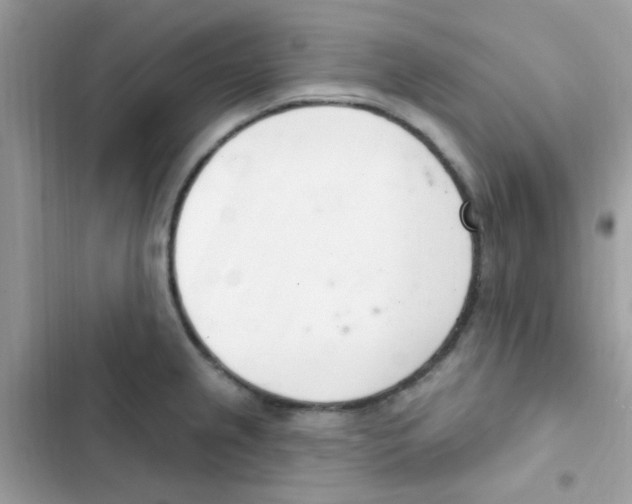 X0000103171237200809192109