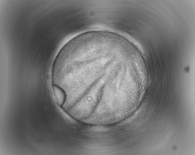 X0000103171239200809192109