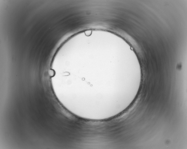 X0000103171240200809192109