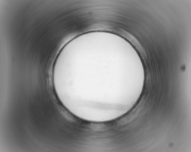 X0000103171242200809192109