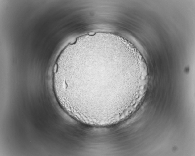 X0000103171243200809192109