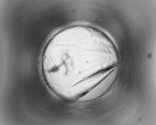 X0000103171245200809192109