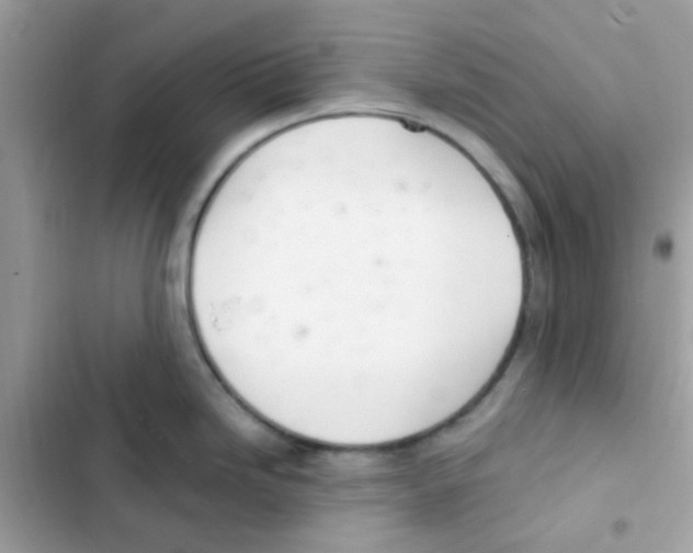 X0000103171246200809192109