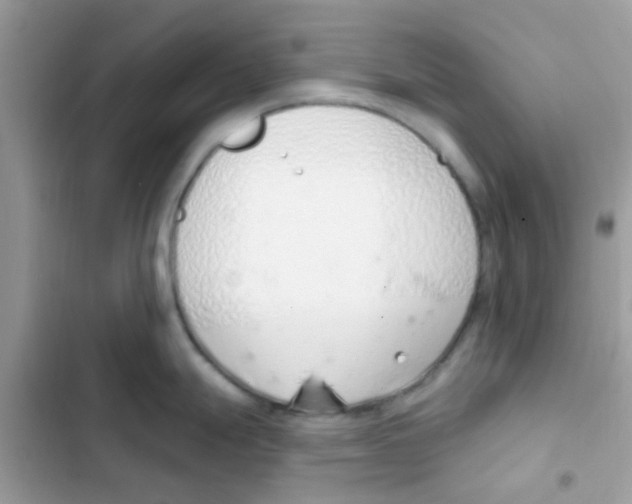 X0000103171247200809192109