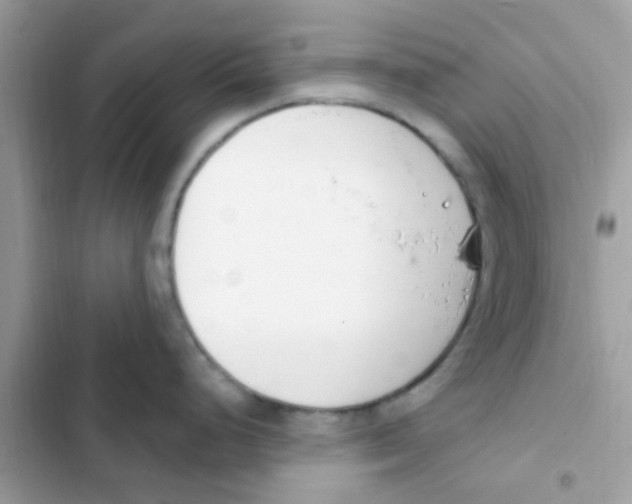 X0000103171248200809192109