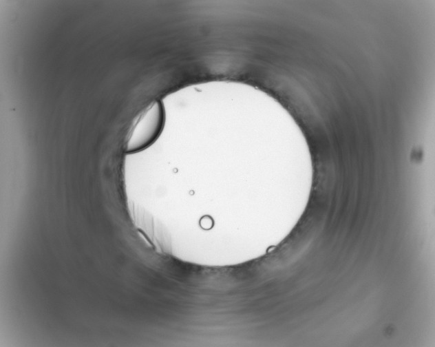 X0000103171249200809192109