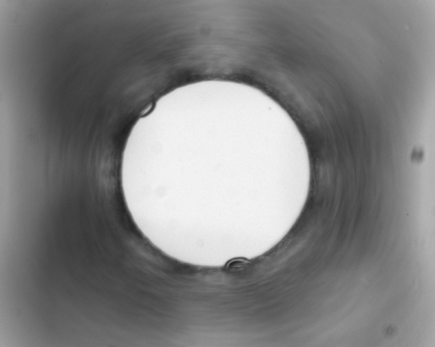 X0000103171250200809192109