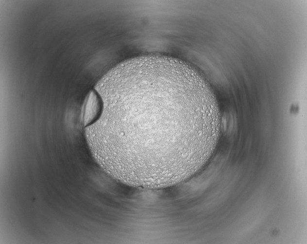 X0000103171251200809192109