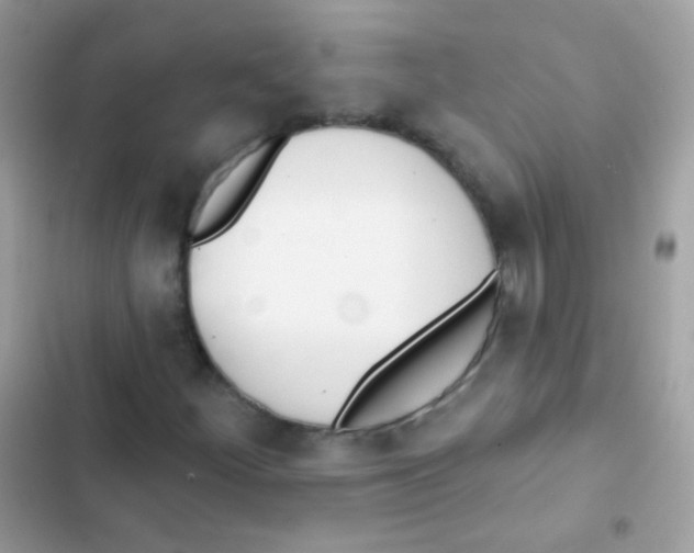 X0000103171252200809192109