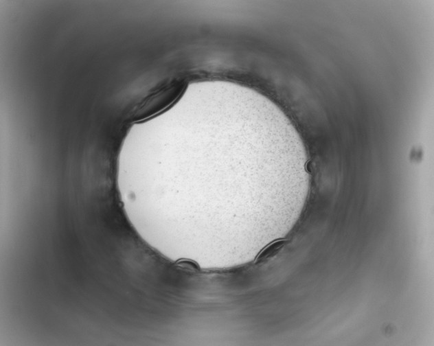 X0000103171253200809192109