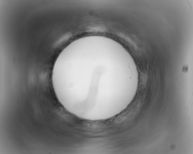 X0000103171254200809192109