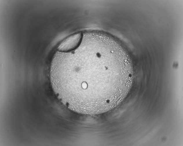 X0000103171255200809192109