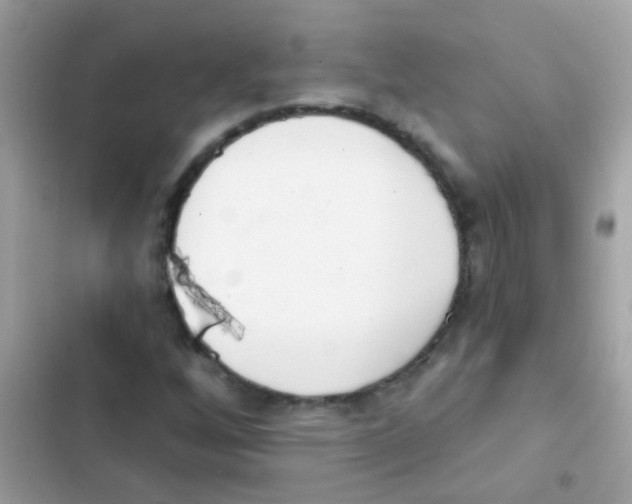 X0000103171256200809192109