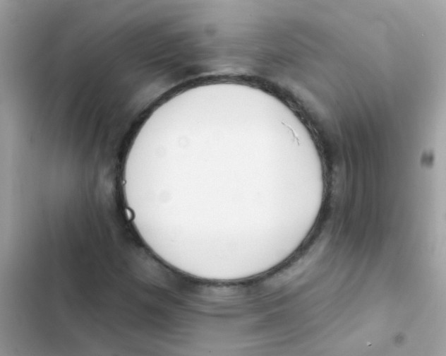 X0000103171257200809192109