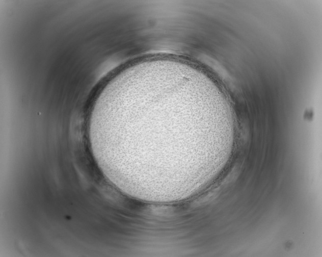 X0000103171258200809192109