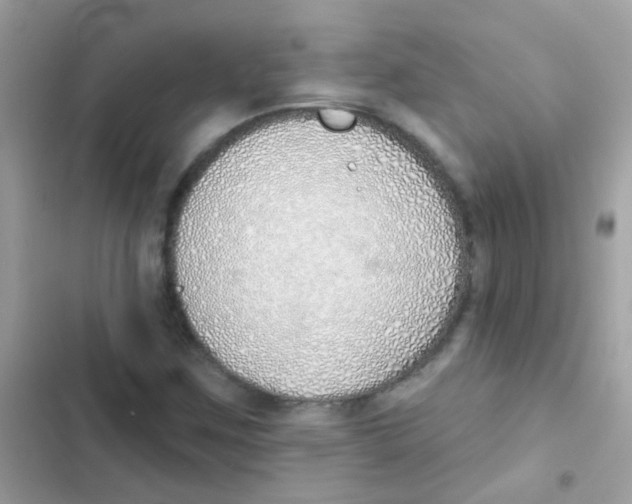 X0000103171259200809192109