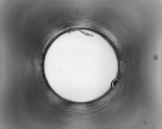 X0000103171260200809192109