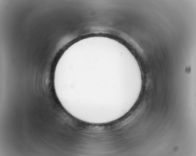 X0000103171261200809192109