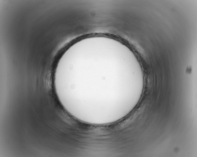 X0000103171262200809192109