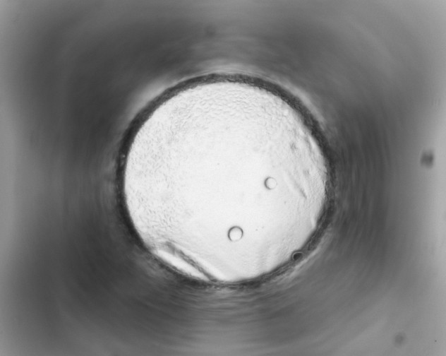 X0000103171263200809192109