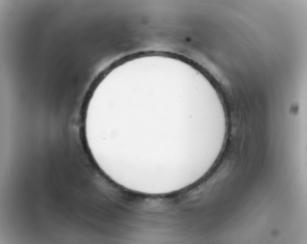 X0000103171264200809192108