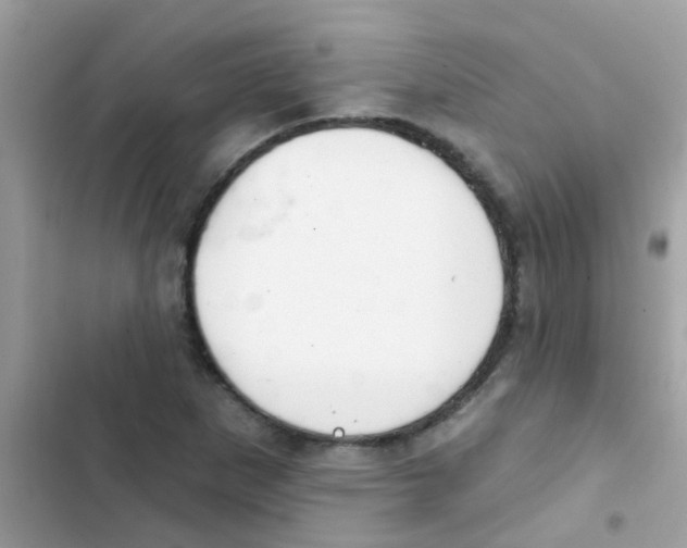 X0000103171265200809192108