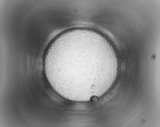 X0000103171267200809192108