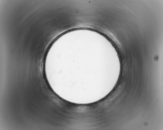 X0000103171268200809192108