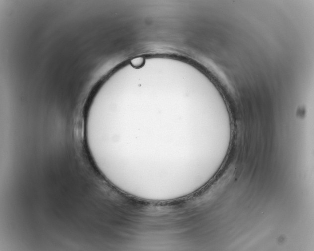 X0000103171269200809192108