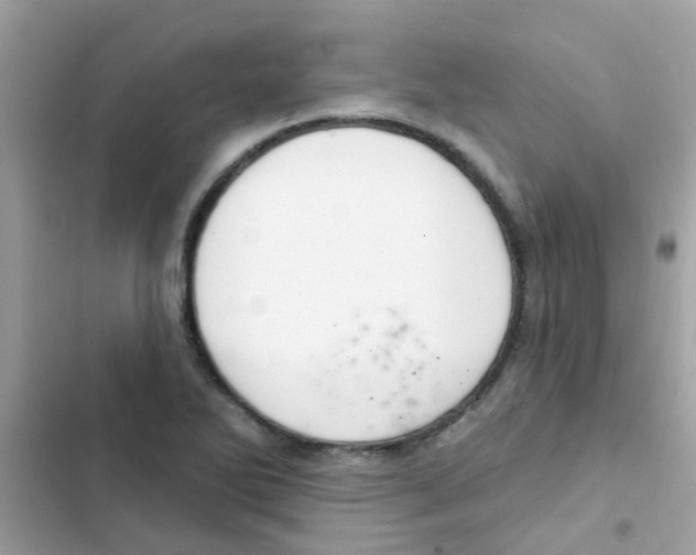 X0000103171270200809192108