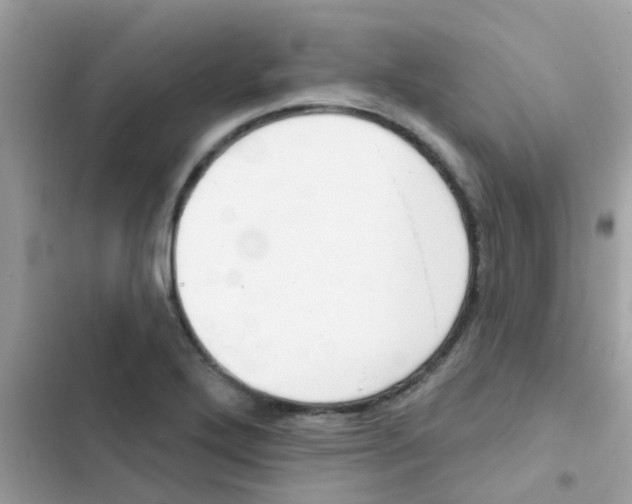 X0000103171272200809192108