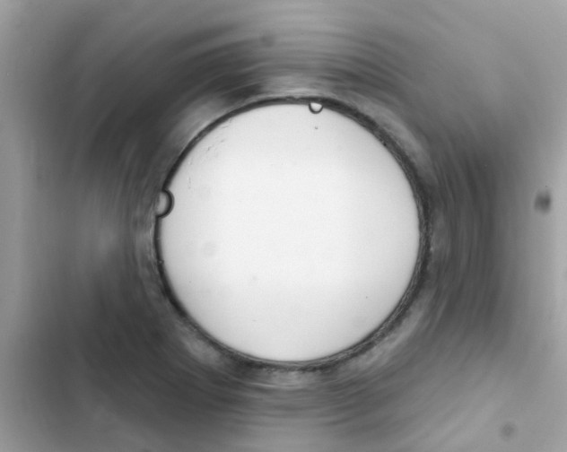 X0000103171273200809192108