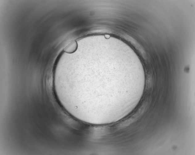 X0000103171274200809192108