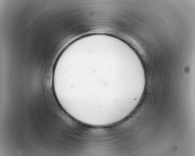 X0000103171276200809192108