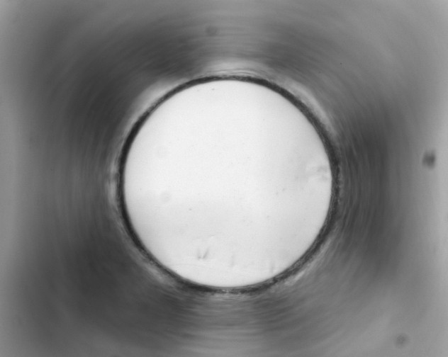 X0000103171277200809192108