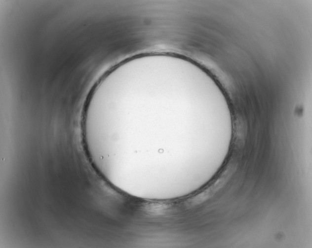 X0000103171278200809192108